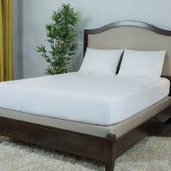 Protect-A-Bed Mattress Cover, Multiple Sizes