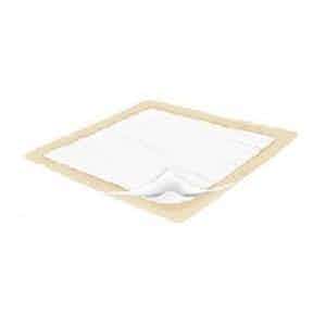 Presto Plus Protective Underpads, Moderate Absorbency, UPP29020, 23 X 36" - Case of 150 ( 10 Packs)