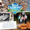 Blue Diamond Almonds Sea Salt Nut-Thins