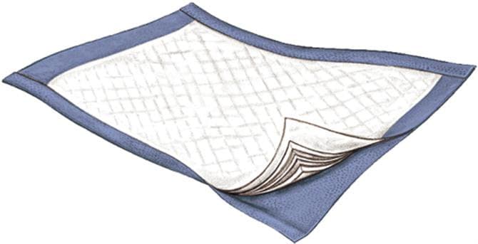 Passport Disposable Underpad, Moderate Absorbency