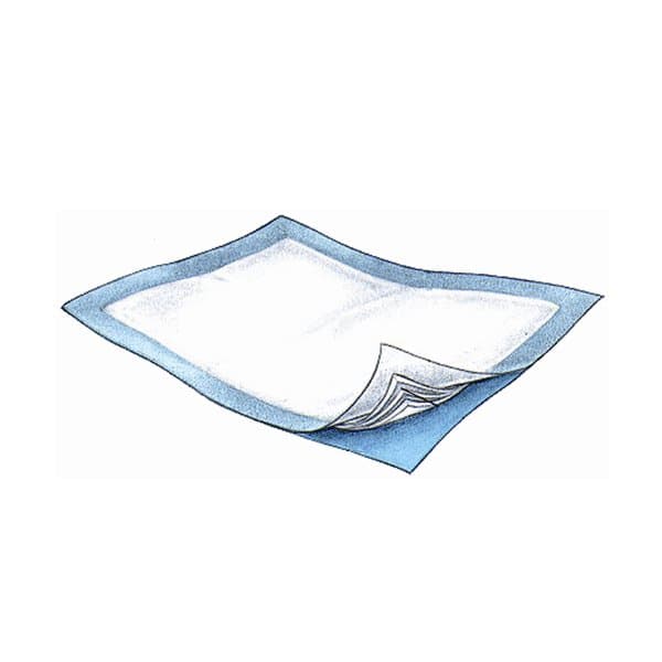 Passport Disposable Underpad, Heavy Absorbency