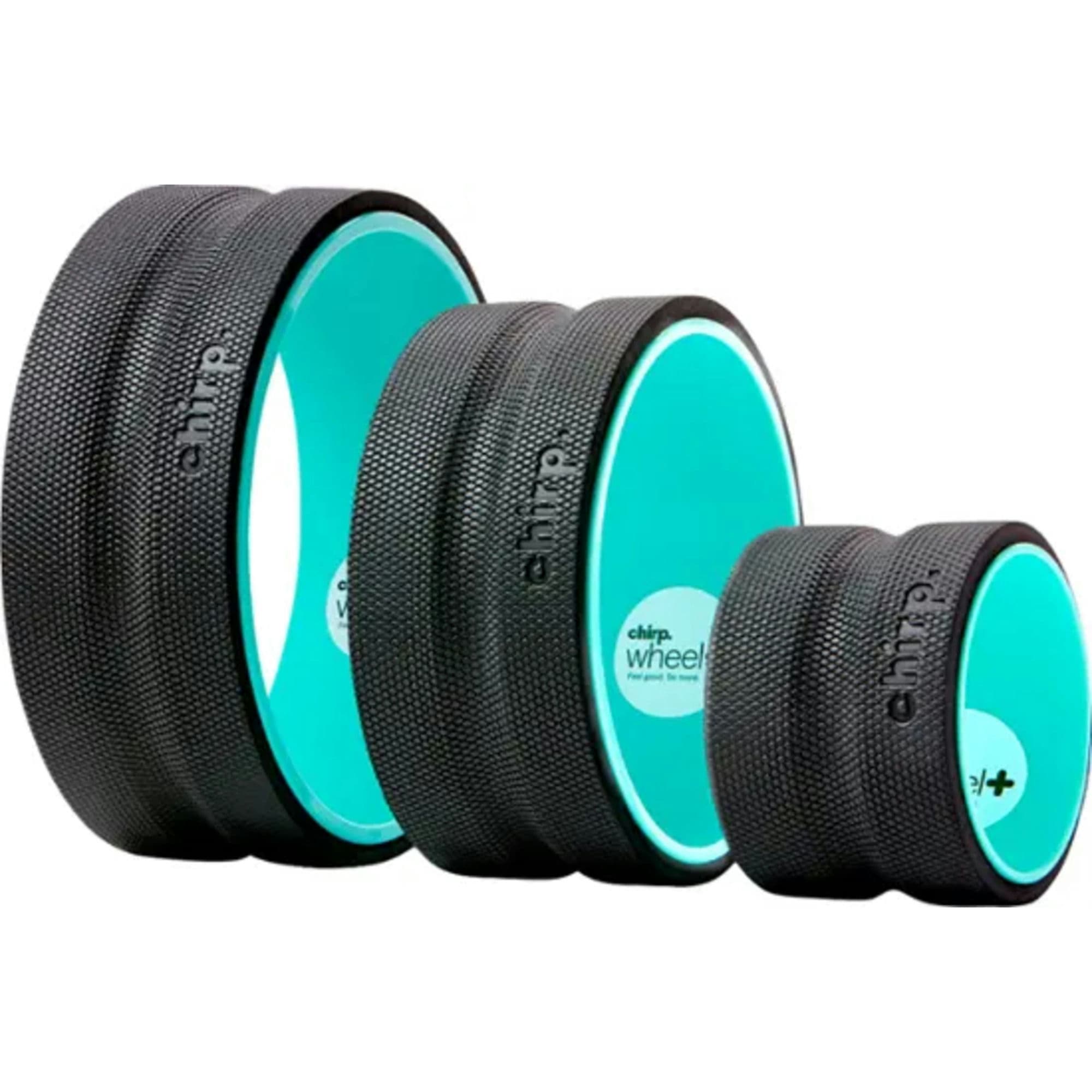 Chirp Wheel Plus