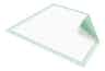 Passport Disposable Underpad, Moderate Absorbency