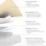 ZeniMedical ZeniFoam Gentle Border Sacral Foam Dressing with Silicone Adhesive Border, 7 X 7"